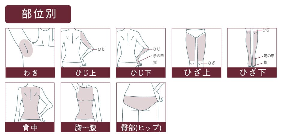 部分医療脱毛のイラスト わき ひじ上 ひじ下 ひざ上 ひざ下 背中 胸〜腹 臀部(ヒップ)