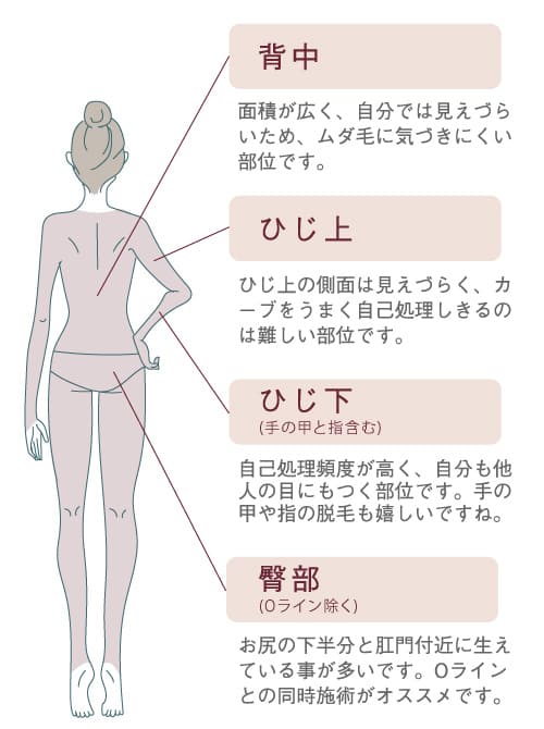 医療脱毛全身の男女共通イラスト わき 胸〜腹 ひざ上 ひざ下(ひざ、足の甲と指含む) 背中(肩、胸、腰) ひじ上 ひじ下(ひじ、手の甲と指含む 臀部(Oライン除く)