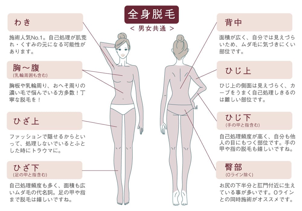医療脱毛全身の男女共通イラスト わき 胸〜腹 ひざ上 ひざ下(ひざ、足の甲と指含む) 背中(肩、胸、腰) ひじ上 ひじ下(ひじ、手の甲と指含む 臀部(Oライン除く)